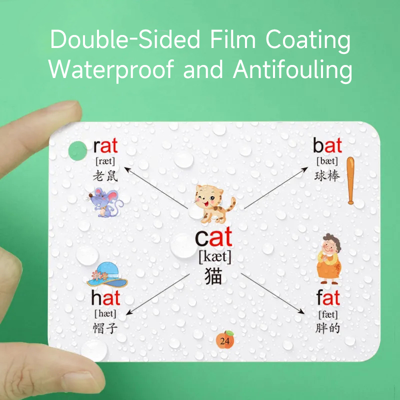 การ์ดแผนที่ความคิด600คำมีสัญลั - Kids Education Card บทวิจารณ์และราคา